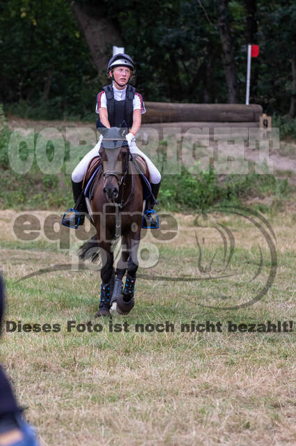 Late-Entry Vielseitigkeit Hamminkeln/Wesel (01.+02.08.2020)