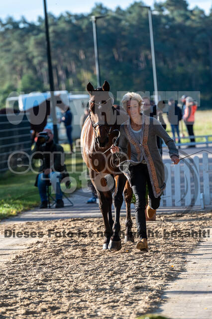 Deutsche Meisterschaft Vielseitigkeit (Luhmühlen)