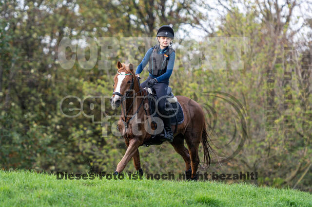 IGV Lehrgang der Sieger der Cups mit Frank Ostholt