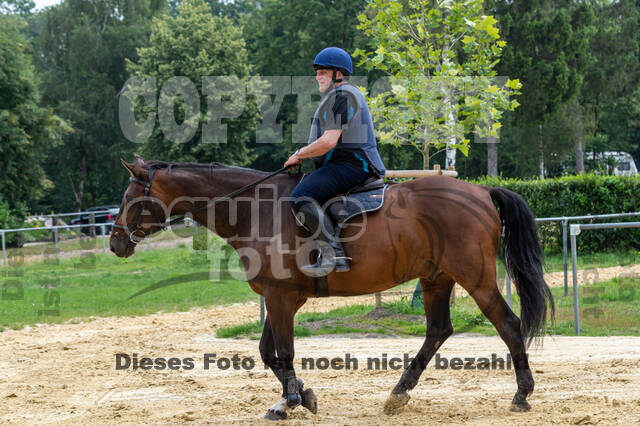 Hunter Geländetraining 10.07.2021 (Sonsbeck)