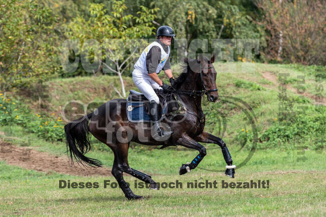 Vielseitigkeit RSV Wesel Obrighoven (26.+27.09.2020)