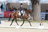 FEI European Championship Eventing 2017