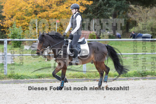 IGV Lehrgang der Sieger der Cups mit Frank Ostholt