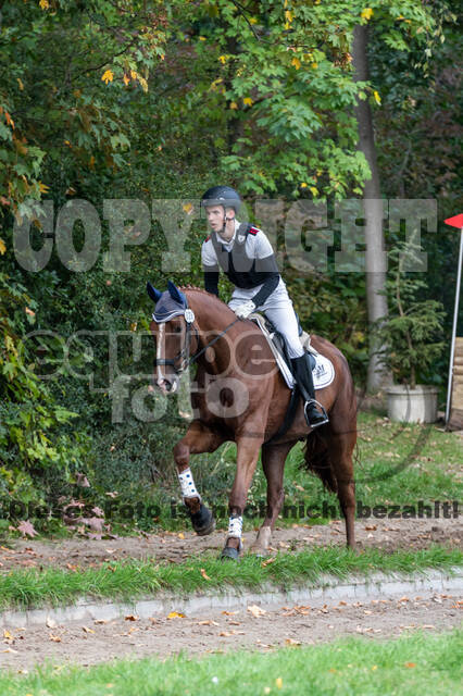 Goldene Schärpe 2020 - Pferde