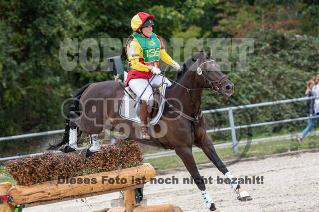 Landesturnier Rheinland, Vielseitigkeit, 22.+23.08.2020