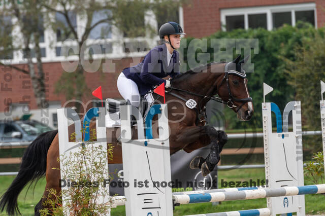 Goldene Schärpe 2020 - Pferde