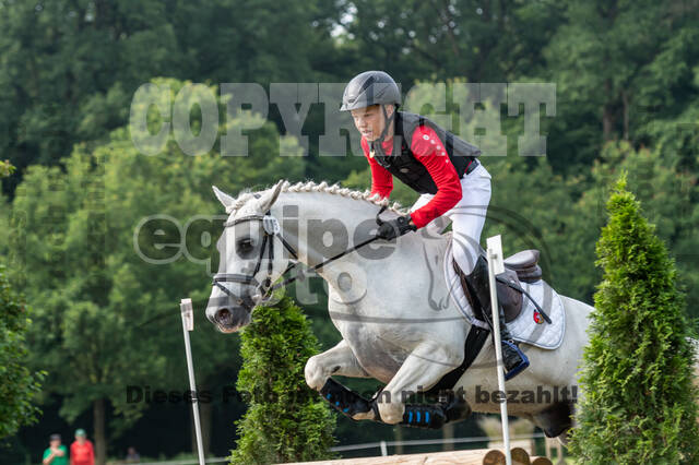 Goldene Schärpe 2021 - Ponys