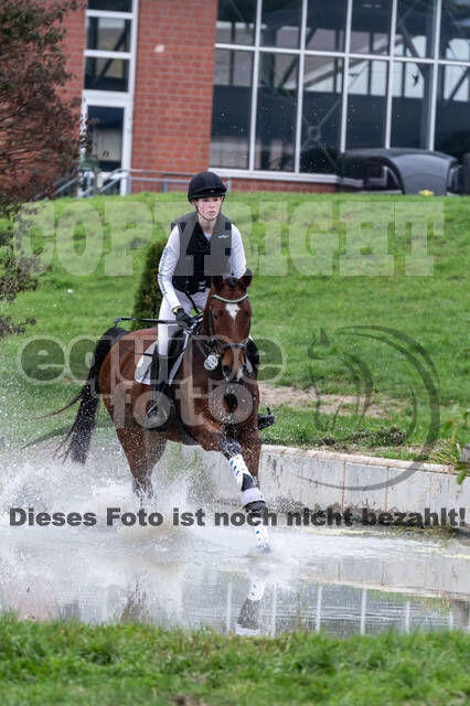 Goldene Schärpe 2020 - Pferde