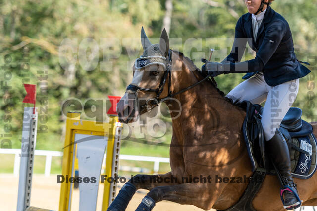 RFV Dinslaken-Hiesfeld (Herbstturnier)