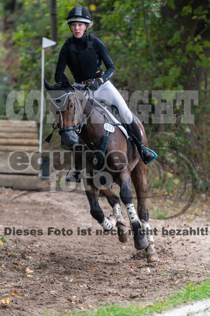 Goldene Schärpe 2020 - Pferde