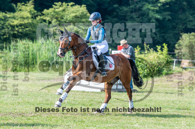 Goldene Schärpe 2021 - Ponys