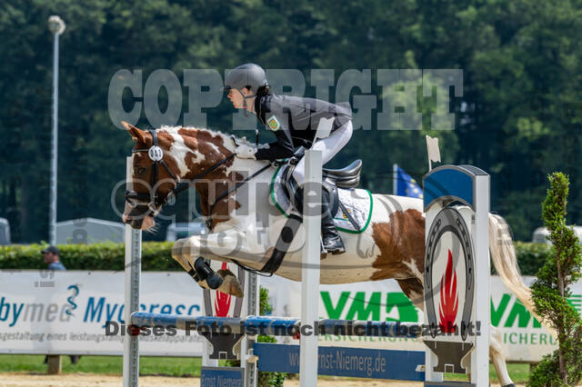 Goldene Schärpe 2021 - Ponys