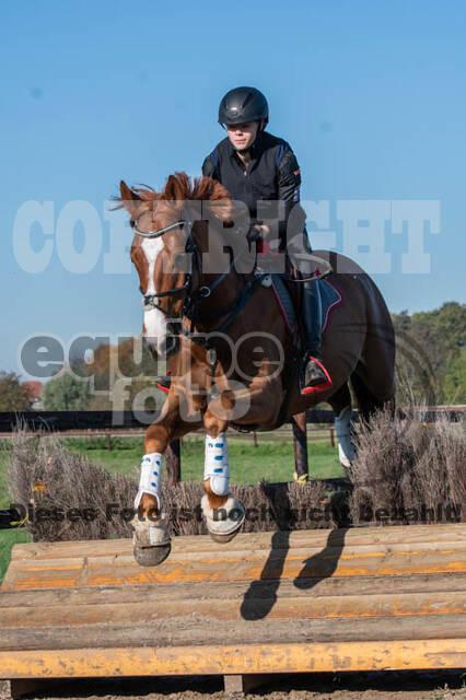 Vielseitigkeitslehrgang mit Jürg Kurbel (9.+10.11.2019)
