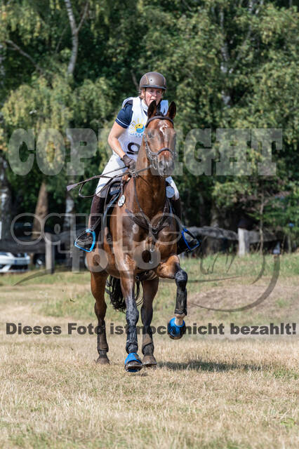 Late-Entry Vielseitigkeit Hamminkeln/Wesel (01.+02.08.2020)