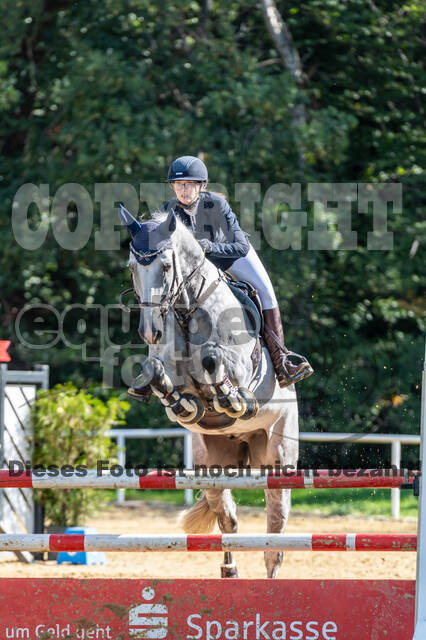 RFV Dinslaken-Hiesfeld (Herbstturnier)