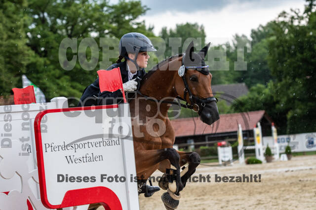 Goldene Schärpe 2021 - Ponys