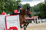 Goldene Schärpe 2021 - Ponys