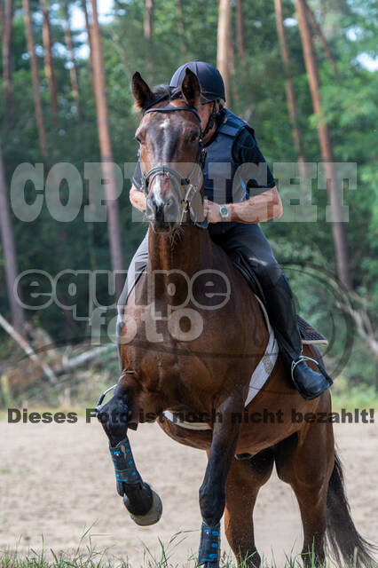 Hunter Geländetraining (16.08.2020)