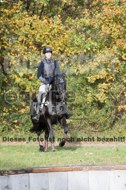 IGV Lehrgang der Sieger der Cups mit Frank Ostholt