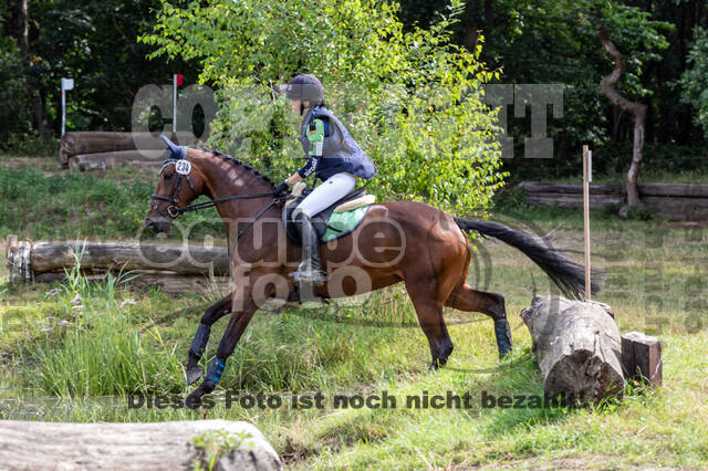 Late-Entry Vielseitigkeit Hamminkeln/Wesel (01.+02.08.2020)