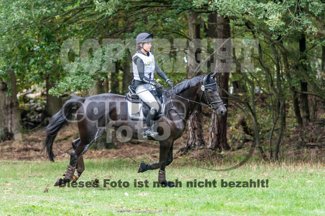 Vielseitigkeit RSV Wesel Obrighoven (26.+27.09.2020)