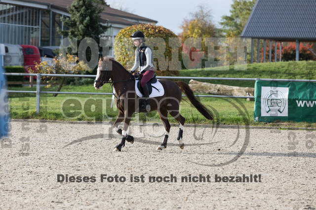 IGV Lehrgang der Sieger der Cups mit Frank Ostholt