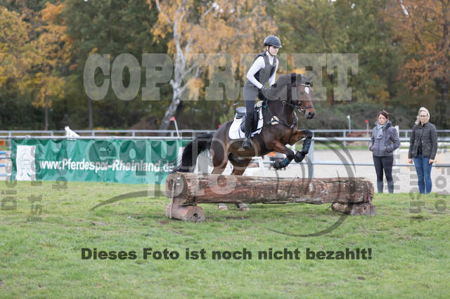 IGV Lehrgang der Sieger der Cups mit Frank Ostholt