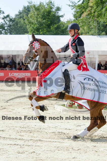FEI European Championship Eventing 2017