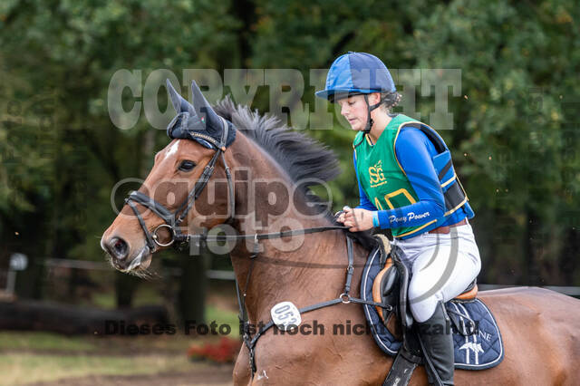 Vielseitigkeit RSV Wesel Obrighoven (26.+27.09.2020)