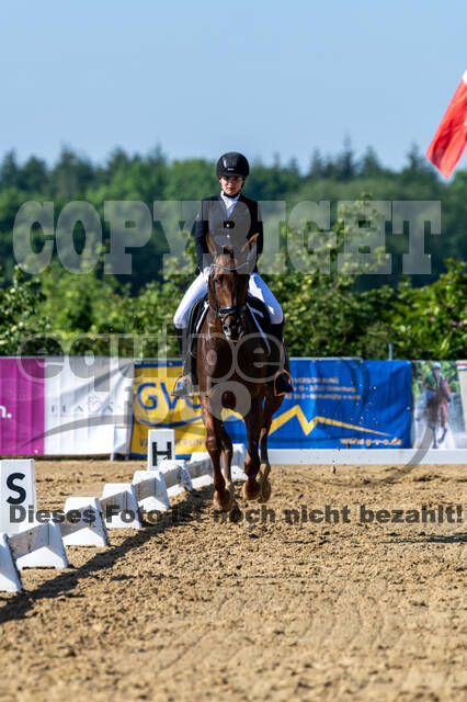 Westerstede Horse Trials 2021