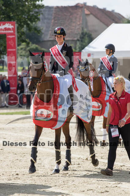 FEI European Championship Eventing 2017