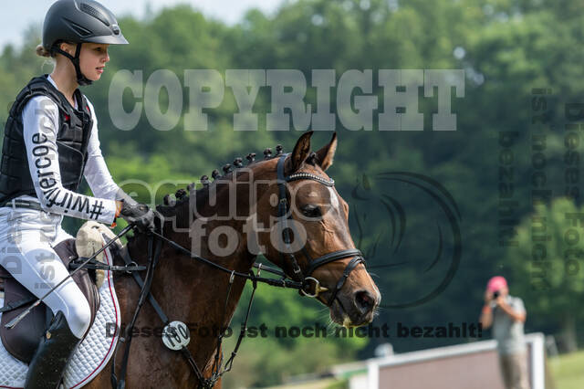 Goldene Schärpe 2021 - Ponys