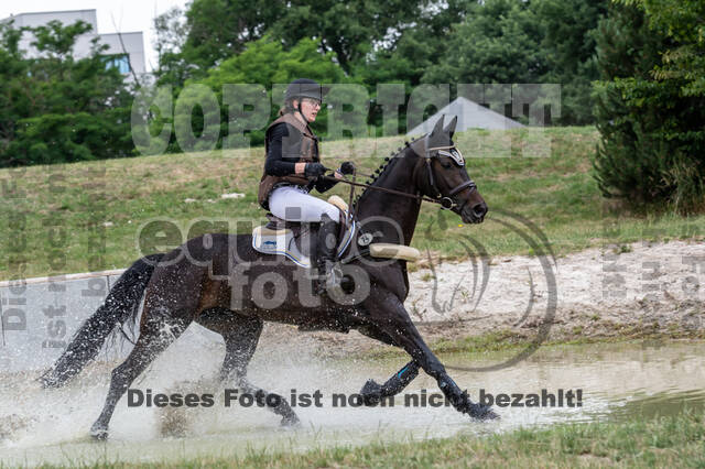 Late-Entry-Vielseitigkeit Langenfeld (11.+13./14.06.2020)