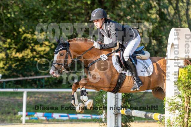 RFV Dinslaken-Hiesfeld (Herbstturnier)