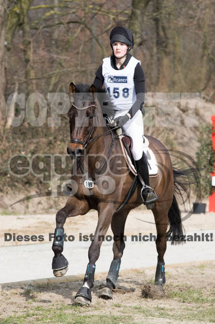 Eventing Langenfeld 2018