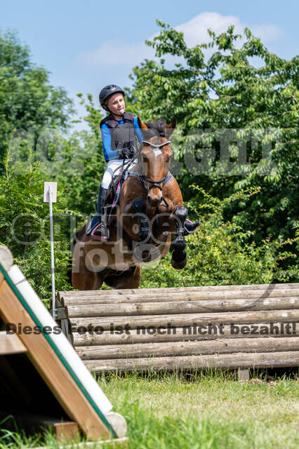 Goldene Schärpe 2021 - Ponys