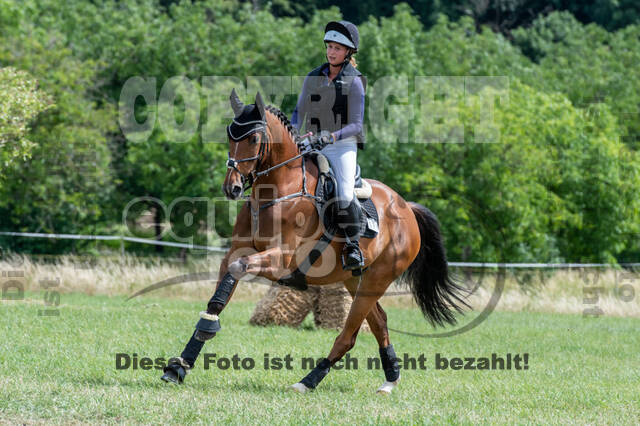 Bonn-Rodderberg Late-Entry-Vielseitigkeit (30.06.2020)