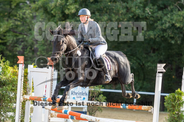 RFV Dinslaken-Hiesfeld (Herbstturnier)