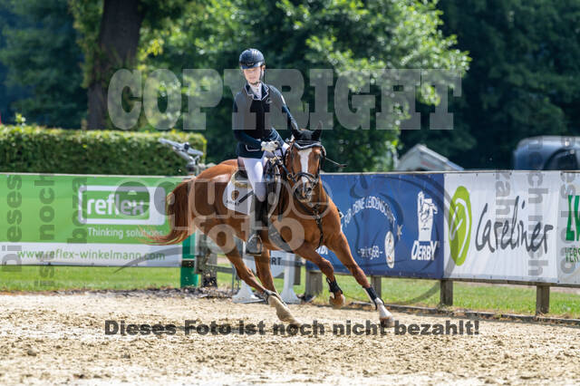 Goldene Schärpe 2021 - Ponys
