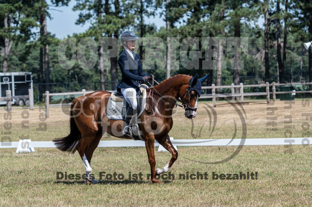 Kronenberg - De Peelbergen (August 2020)