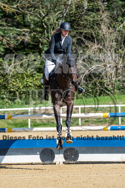 RFV Dinslaken-Hiesfeld (Herbstturnier)