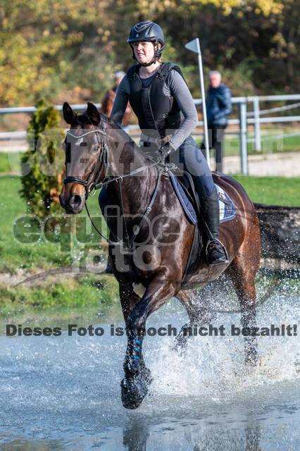 IGV Lehrgang der Sieger der Cups mit Frank Ostholt
