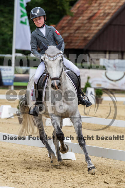 Goldene Schärpe 2021 - Ponys