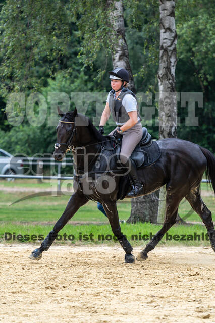 Hunter Geländetraining 10.07.2021 (Sonsbeck)