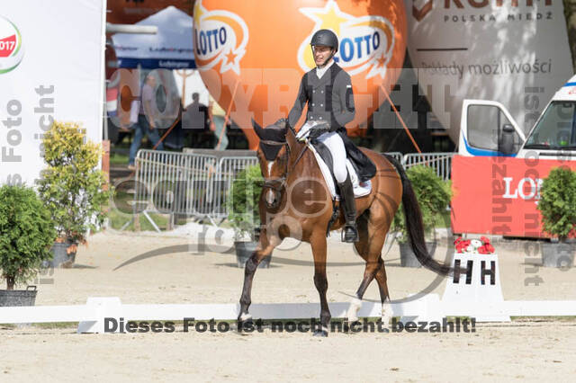 FEI European Championship Eventing 2017