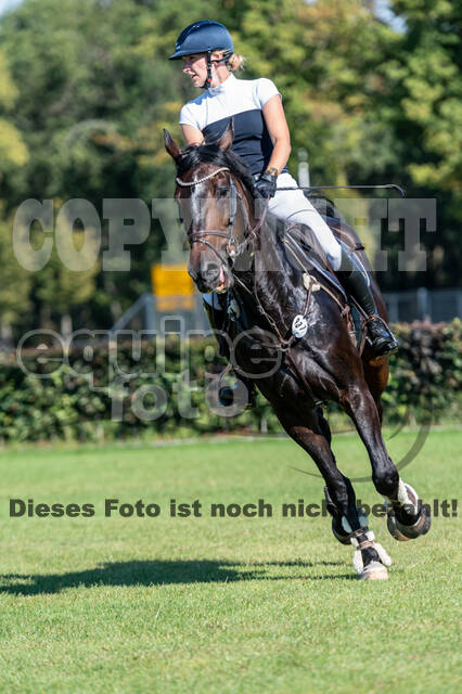 Kronenberg - De Peelbergen (August 2020)