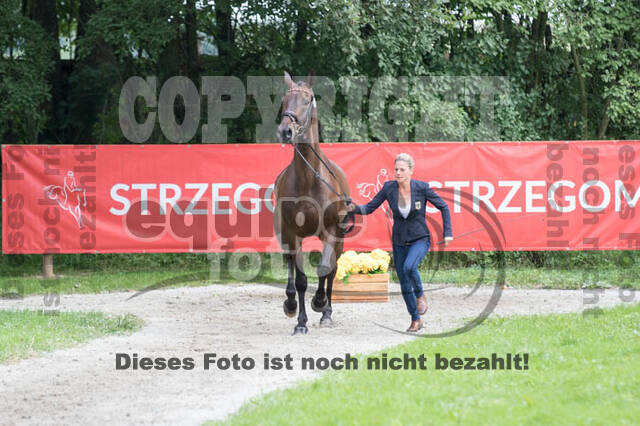 FEI European Championship Eventing 2017