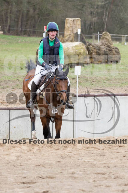 Jungpferdetag Hamminkeln