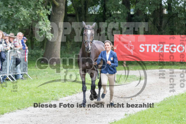 FEI European Championship
