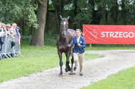 FEI European Championship